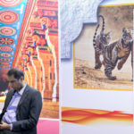 luxexpo_130117_049