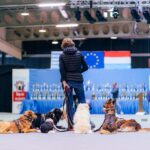 DogShow-DogCoach-PS-16-min